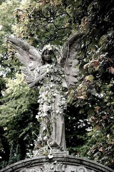 Mossy Statue, Angel Garden Statues, Cemetery Statues, I Believe In Angels, Cemetery Art, Dark Autumn, Angel Statues, Stone Statues, Fictional World