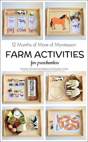 Collection of farm related activities for preschoolers Farm Activities For Preschoolers, Tree Activity, Montessori Trays, Montessori Activities Preschool, Farm Theme Preschool, Montessori Science, Montessori Lessons, Farm Preschool, Montessori Homeschool