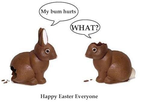 chocolate bunnies Silly Humor, Easter Jokes, Bunny Chocolate, Chocolate Bunnies, Chocolate Rabbit, Bunny Cartoon, Hippity Hoppity, Funny Easter, Chocolate Bunny