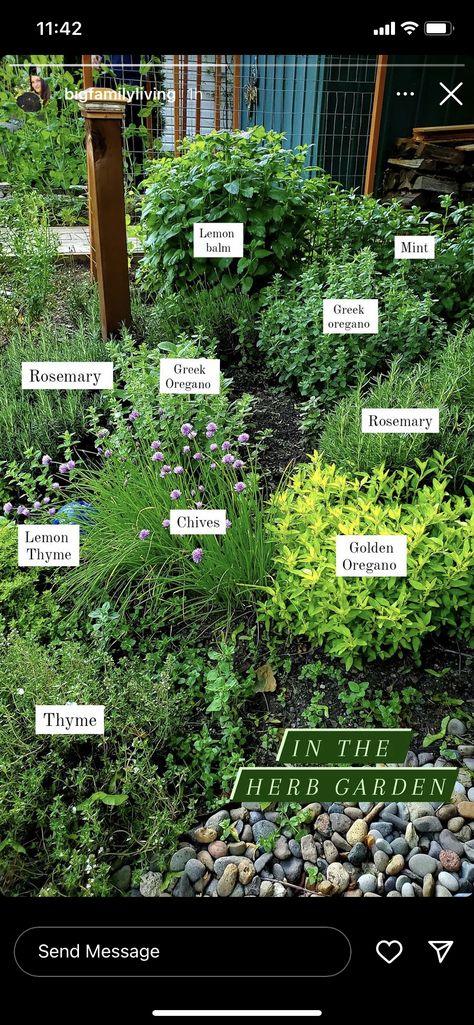 Moon Gardens, Different Types Of Plants, Herb Garden Design, Potager Garden, Permaculture Design, Garden Yard Ideas, Vegetable Garden Design, Photosynthesis, Garden Layout