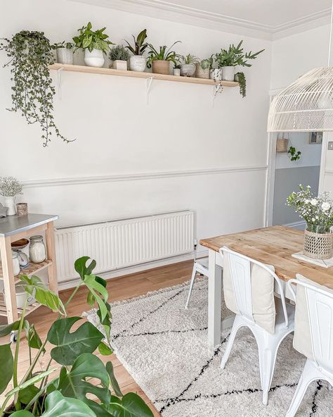 Plant Shelf In Dining Room, Kitchen Plant Shelf, Plant Shelf On Wall, Large Plant Shelves, High Shelf With Plants, Plant Shelf High Up, Long Shelf With Plants, Wall Shelf With Plants, Plant And Picture Shelf