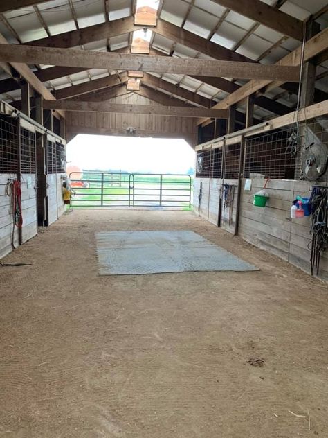 Horse Feed Room, Small Horse Barns, Homesteading Animals, Horse Farm Ideas, Horse Paddock, Cattle Barn, Horse Barn Ideas Stables, Barn Stalls, Horse Barn Designs