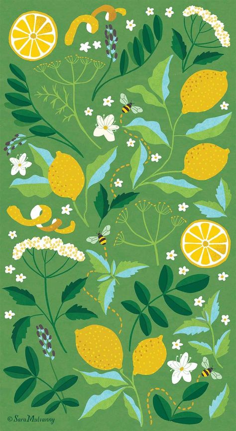 Floral patterns created for a tea packaging concept. Each design features the floral, herbal and fruit elements within each blend of tea. This is the 'Lemon & honey' tea which contains elderflower, lemon verbena leaf, liquorice root, sweet fennel seed and of course lemon and Manuka honey. ©SaraMulvannyIllustrationLtd Summer Botanical Illustration, Patterns On Packaging, Lemon Illustration Pattern, Lemon Grass Illustration, Lemon Flower Illustration, Herbal Tea Illustration, Botanical Packaging Design, Lemon Pattern Design, Lemon Packaging Design