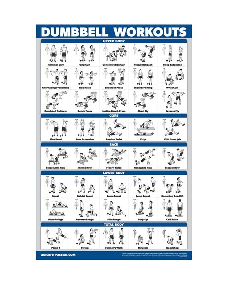 PRICES MAY VARY. Double Sided Poster - Front Vertical - Back Horizontal (same exercises on both sides) High-quality 3 MIL lamination for added durability Tear Resistant 18 inch x 27 inch Palace Learning Dumbbell Workout Exercise Poster - Laminated - Free Weight Body Building Guide | Home Gym Chart | 18" x 24 Low Impact 30 Day Challenge, Progressive Workout Plan Dumbbells, Womens Beginner Weight Lifting Plan, 28 Day Wall Pilates Challenge Free Chart, At Home Strength Training Woman, Weight Lifting Schedule For Women, Weight Workouts For Women, What Size Dumbbells Should I Use, Dumbell Arm Workout