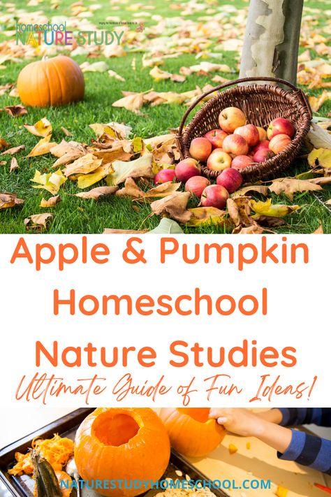 Pumpkin Homeschool Activities, Apple Unit Study Kindergarten, Homeschool Apple Unit Study, Apple Unit Study 1st Grade, Apple Nature Study, Pumpkin Nature Study, Acorn Unit Study, Fall Nature Study, Fall Nature Study Homeschool