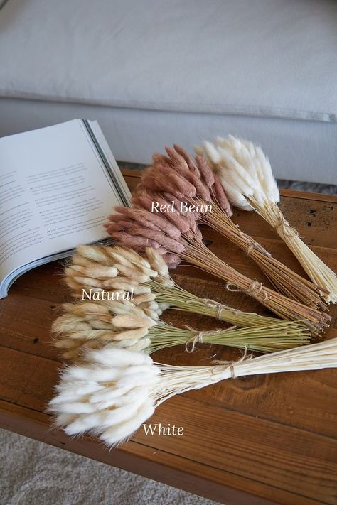 Mini Bunny Tails Bunch 60 Pcs Dried Lagurus Pampas Grass - Etsy Dried Florals Wedding, Mini Pampas, Boho Wedding Invitations, Mini Bunny, Bouquet Home Decor, Florals Wedding, Dried Florals, Bunny Tails, Etsy Wedding Favors