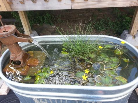 Horse Trough Fish Pond, Horse Trough Fountain, Water Trough Pond Ideas, Trough Pond Ideas, Water Trough Pond, Horse Trough Garden, Water Trough Fountain, Water Trough Garden, Porch Pond