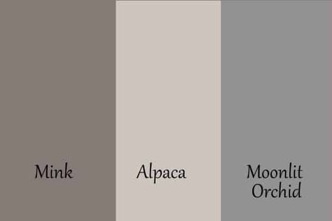 Today I am sharing all the details on Sherwin Williams Alpaca. This is a really interesting color and one that is underutilized for sure! Sherwin Williams Alpaca Color Palette, Alpaca Sherwin Williams Coordinating Colors, Alpaca Sherwin Williams Bedroom, Colors That Go With Alpaca Sherwin Williams, Sw Alpaca Paint Color Scheme, Alpaca Sherwin Williams Color Scheme, Alpaca Sherwin Williams Kitchen, Alpaca Color Palette, Alpaca Sherwin Williams Exterior