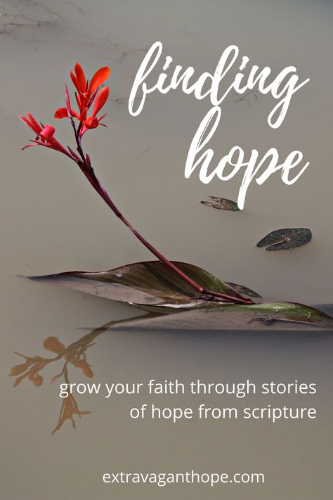 Gods Blessings Quotes, Hope Scripture, Prayer Of Praise, Hope In The Lord, Messages Of Hope, Grow Your Faith, Prayers Of Encouragement, Hope In Jesus, Easter Messages