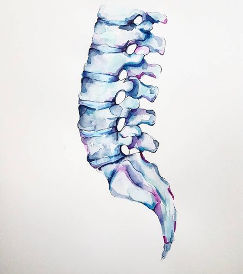 Spine Watercolor, Vertebrae Art, Spine Drawing, Physio Clinic, Spine Art, Neurology Art, Biology Art, Contemporary Watercolor, Time Time