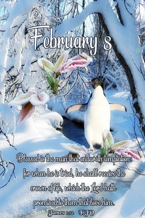 February 8 Quotes, February Scripture, February Blessings, February Aesthetic, Hello February Quotes, February Images, Words Of Faith, February Quotes, 8 February