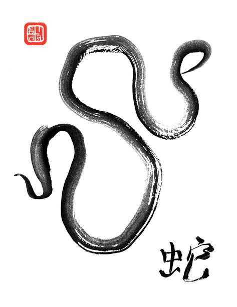 Feng Shui Animals, Snake Zodiac, Zodiac Tattoo, Year Of The Snake, New Groove, Chinese Ink, Zodiac Gifts, Snake Tattoo, Chinese Calligraphy