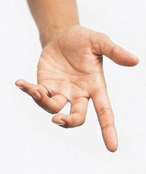 6179_40752_big.gif (300×357) Hand References, Hands Reference, Hand Photography, Hand Drawing Reference, Hand Reference, Pencil Drawings Easy, Human Reference, Hand Model, Poses References