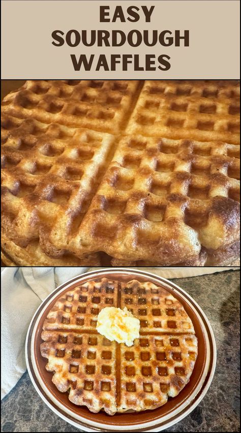 Best Sourdough Waffles - Easy Sourdough Discard Recipe - Wagon Wheel Homestead Sourdough Buttermilk Waffles, Sourdough Waffles Quick, Overnight Sourdough Waffles, Sourdough Waffles Discard, Sourdough Discard Breakfast Recipes, Waffle Recipe No Milk, Sourdough Breakfast Recipes, Sourdough Discard Waffles, Discard Waffles