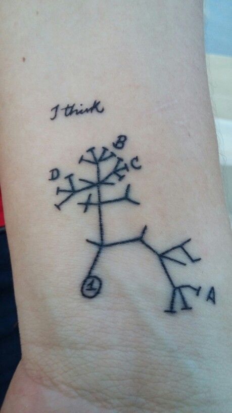 Darwin's tree of life Darwin Tattoo Evolution, Darwin Tree Of Life Tattoo, Biology Tattoo Ideas, Darwin Tattoo, Tree Of Life Evolution, Darwin Tree Of Life, Biology Tattoo, Tree Tat, Evolution Tattoo