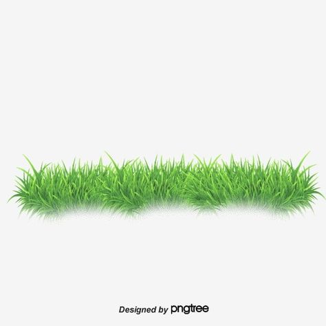 grass,grass vector Grass Png, Cartoon Grass, Grass Vector, Grass Background, Photography Studio Background, Pink Background Images, Blur Photo Background, Blur Background In Photoshop, Cute Backgrounds For Phones