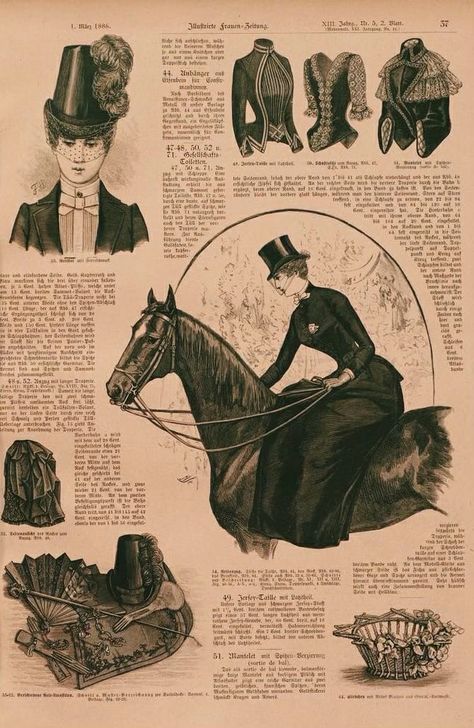 Amazon Tapestry, Equestrian Magazine, Victorian Horse, Vintage Equestrian, Victorian Illustration, Horse Riding Outfit, Riding Habit, Riding A Horse, Side Saddle