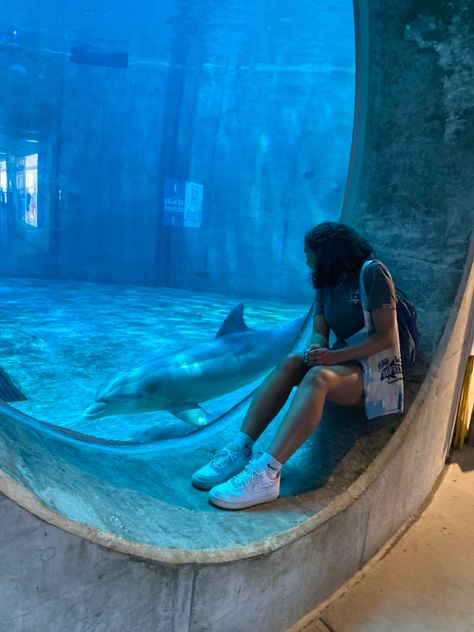 Marine Zoologist Aesthetic, Dolphin Aquarium, Dolphin Trainer Aesthetic, Marine Biology Student, Marine Rescue, Dolphins Aesthetic, Marine Biologist Aesthetic Pictures, Marine Bio Aesthetic, Marine Biology Aesthetic Outfit