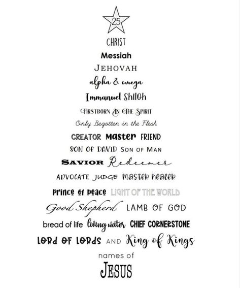 Christmas Reason For The Season, Reason For The Season Christmas, Peace Light, Son Of David, Prince Of Peace, In The Flesh, Christmas Aesthetic, The Gift, Favorite Quotes