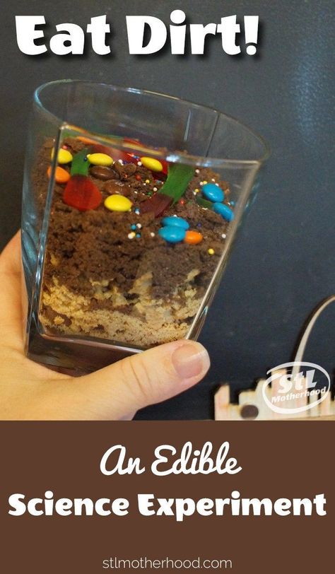 Eat dirt for science! A fun project that mixes STEM learning with fun snacking. Teaches kids about the layers of soil and a little geology. Science Snack, Layers Of Soil, Soil Activities, Edible Science, Food Experiments, Science Camp, Summer Science, Kid Experiments, Science Projects For Kids