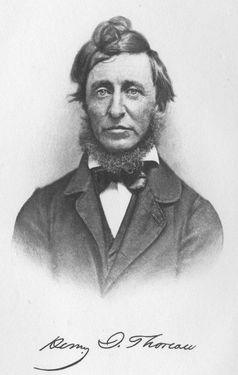 The Libraries of Famous Men: Henry David Thoreau Nature Writing, Book Dedication, Writing Room, Writing Essays, Essay About Life, Art Of Manliness, Civil Disobedience, Room Book, Writers And Poets