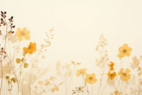 Real pressed flowers backgrounds pattern nature. | free image by rawpixel.com / Minty Pressed Sunflower, Sunflower Background, Background Border, Whatsapp Wallpaper, Download Free Images, Flower Backgrounds, Aesthetic Backgrounds, Wallpaper Aesthetic, Pressed Flowers