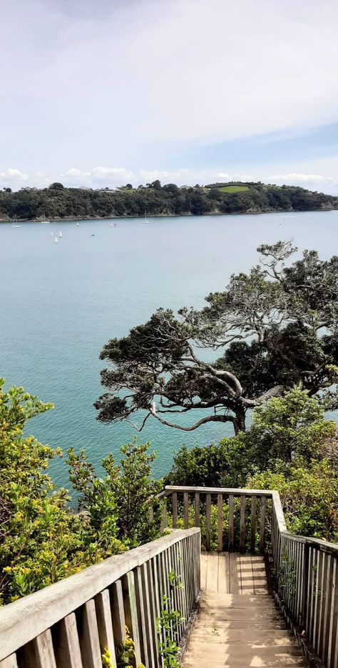 Stairs. Sea. Island. Waiheke Island. Trees. South Auckland Aesthetic, Waiheke Island New Zealand, Nee Zealand Aesthetic, New Zealand Aesthetic Wallpaper, New Zealand Travel Aesthetic, New Zealand Aesthetic City, Auckland New Zealand Aesthetic, Auckland Aesthetic, New Zealand Wallpaper