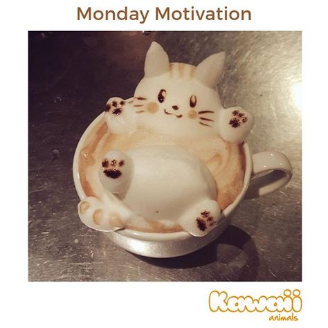 A lesson in how to relax! #mondaymotivation #kawaii #kawaiianimals #latteart #latte #coffeeart #coffee Cat Latte Art, Arte Del Cappuccino, Coffee Latte Art, Cafe Art, Cat Cafe, Kawaii Food, Kawaii Animals, Cute Desserts, Coffee Latte