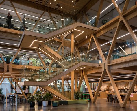 Te Whare Nui o Tuteata, Scion Innovation Hub — XLam Heavy Timber Architecture, Timber Connections, Glulam Beams, Wooden Skyscraper, Cross Laminated Timber, Mass Timber, Innovation Hub, Timber Architecture, Timber Buildings