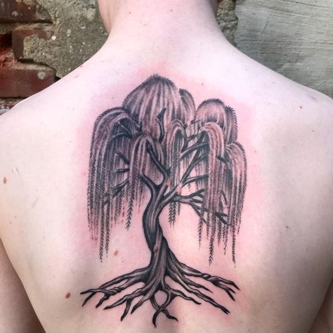 Black Weeping Willow Tattoo -porcelaintattoo Tree Leg Tattoo, Weeping Willow Tattoo, Willow Tree Tattoo, Tree Tattoo Meaning, Tree Tattoo Forearm, Tree Tattoo Back, Roots Tattoo, Willow Tree Tattoos, Purple Tattoos