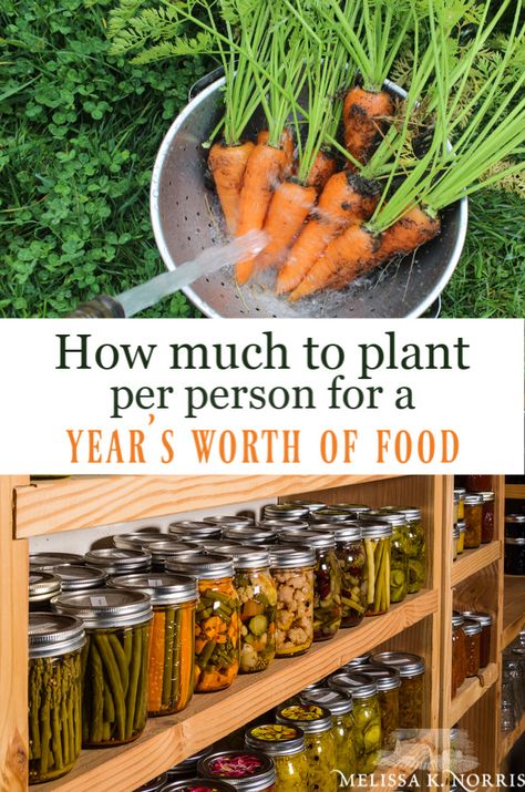 how much to plant per person for a year's worth of food Living Simply, Homestead Gardens, Victory Garden, Garden Types, Home Vegetable Garden, Organic Gardening Tips, Food Garden, Garden Care, Grow Your Own Food