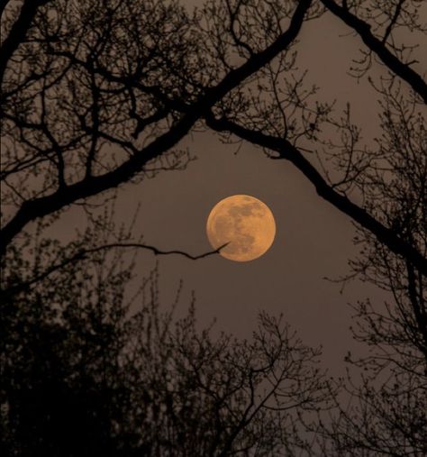 Aesthetic Scenery, Early Evening, Seo Changbin, Aesthetic Halloween, Blood Moon, Lee Felix, Night Aesthetic, Arctic Monkeys, Dark Aesthetic