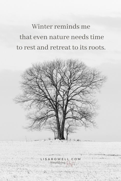 Winter reminds me that even nature needs time to rest and retreat to its roots. And while we can’t see what God is doing to the trees, we can trust that Spring will come. Cold Weather Quotes, Winter Season Quotes, Rest Quotes, God At Work, Weather Quotes, Poetry Lovers, Season Quotes, Time To Rest, Spring Quotes