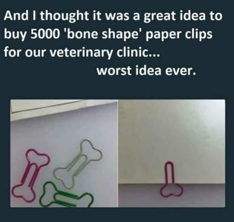 Worst Idea Ever, Fresh Memes, Dirty Mind, E Card, Paper Clips, Bones Funny, Funny Posts, Funny Images, Really Funny