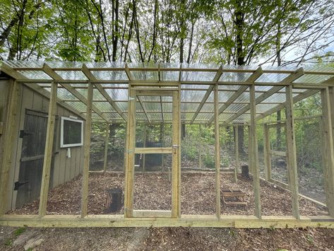 New Chicken Run! Chicken Run Roof Ideas, Chicken Run Roof, Owning Chickens, Coop Run, Polycarbonate Roof, Homestead House, Chicken Coop Run, Chicken Run, Chicken Runs