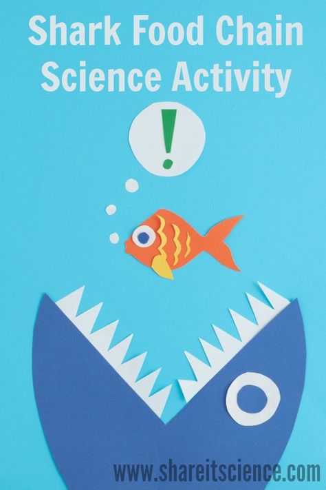 Get your kids or students moving with this #Shark Food Chain Science Activity. Perfect for school or home, #NGSS aligned and linked to a great #childrensbook. #Science #education that gets kids moving! Energy Transfer Activities, Shark Food, Food Chain Activities, Food Web Activities, Teaching Board, Food Webs, Ocean Food, Ocean Ecosystem, Burr Oak