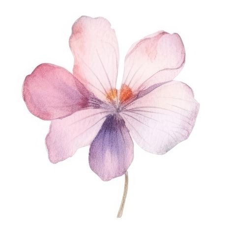 A drawing of a flower that is painted in... | Premium Photo #Freepik #photo #geranium #pansy #viola #pansies Geranium Flower Drawing, Violet Sketch Flower, Petunia Watercolor Painting, Geranium Watercolor, Drawing Of A Flower, Violet Watercolor Flower, A Drawing, Watercolor Cards, Geraniums