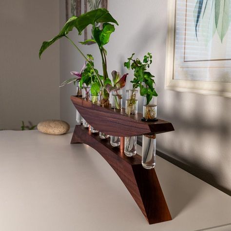 The beauty of "East of the Sun," a gracefully designed propagation station that combines the elegance of walnut with the warm sheen of copper. This piece draws inspiration from Japanese and modern aesthetics, offering a stylish and functional platform for nurturing your beloved plants. Perfect for rooting cuttings or displaying fresh blooms, "East of the Sun" brings a piece of tranquility to your home or office.  Key Features      Quality Construction: Made with premium hardwoods, shown here in Black walnut, paired with elegant copper accents.     Generous Capacity: Includes 7 test tubes for propagation, providing ample space for growing multiple plant cuttings.     Substantial Size: Measures 24 inches long and 7 inches high, extending to 9 inches with tubes inserted, and nearly 2 inches t Natural Wood Console Table, Woodworking Beginner, East Of The Sun, Test Tube Vase, Woodwork Ideas, Propagation Station, Wood Projects That Sell, Diy Plant Stand, Diy Wooden Projects