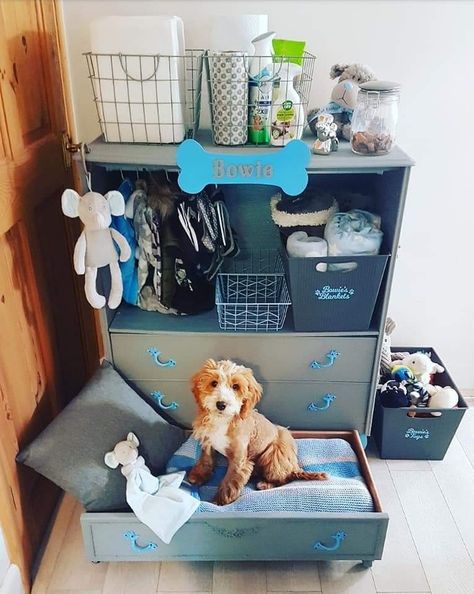 Dog Wardrobe Ideas, Dog Wardrobe Closet, Dog Clothes Storage Ideas, Dog Clothes Organization, Puppy Set Up Ideas In Bedroom, Small Dog Room Ideas, Dog Closet Ideas, Organize Dog Stuff, Pet Corner Ideas Dogs