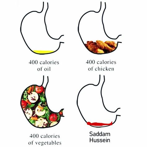 Calorie Counting Comparison Time ? 🍴🍴👍 Sadam Hussein, Ed Sheeran Facts, Saddam Hussain, Hiding Spots, Pinterest Memes, Funny Images Laughter, Hiding Places, Calorie Counting, Know Your Meme