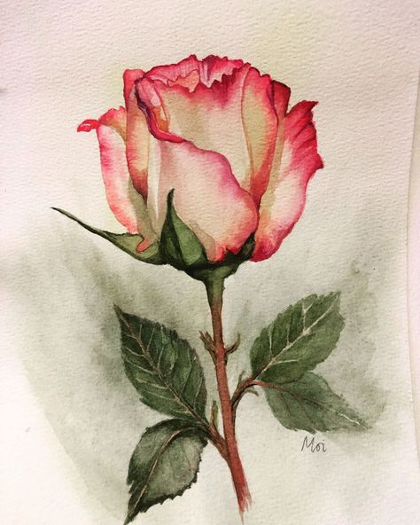 Red Tattoo Ideas, Red Ink Tattoo, Arte Aesthetic, Painting Flowers Tutorial, Red Tattoo, Flower Drawing Tutorials, Watercolour Flowers, Flower Art Drawing, Art Watercolour