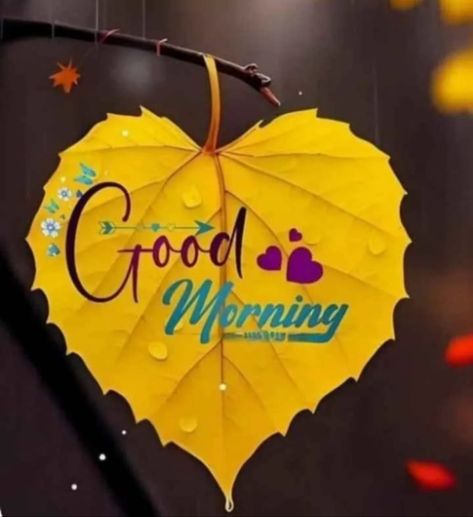 Good Morning Anime, Good Morning African American, Morning Sunshine Quotes, Aesthetic Good Morning, Good Morning Aesthetic, Christmas Gift Videos, Sweet Good Night Messages, Good Morning Animals, Good Morning Animated Images