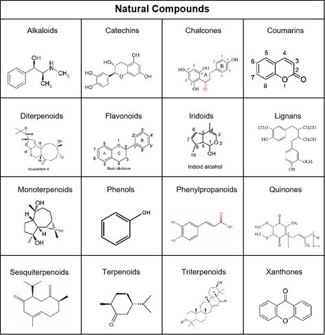 #Natural products are not only the active ingredients of most traditional medicines, but also the active ingredients of many modern medicines. ALL chemistry is dedicated to providing researchers with high-quality, bioactive natural compounds derived from diverse sources, such as plants, marine organisms, and microorganisms. #natural compounds, #alkaloids, #phenylpropanoids, #polyketides, #terpenoids https://www.all-chemistry.com/products/Natural-Compounds.html Organic Chem, Medicinal Chemistry, Marine Organism, Green Chemistry, Study Tips For Students, Biomedical Science, Chemistry Notes, Organic Compounds, Chemical Structure