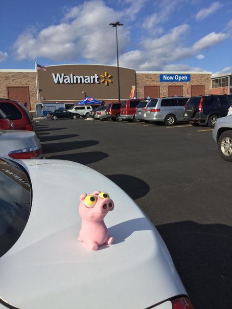 Izzy at the new Walmart Frederick - Monocacy Blvd. Frederick MD · Great news !!!! There's a brand new Walmart down the road from the old one. All is great in our household once again. Izzy approves of the Super Walmart and the location. Not too keen on the in and out access of the place. It is packed today. If we had to park any further we would be in the old stores parking lot... (28-Jan-2017) Walmart Parking Lot, Frederick Md, Photo Op, Always Love You, Parking Lot, Old Ones, Art Class, The Road, The Old