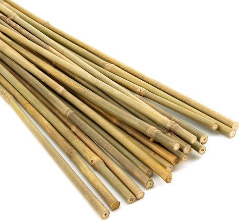 Amazon.com : Pllieay Plant Stakes Natural Bamboo Sticks Garden Bamboo Stakes for Indoor Plants and Outdoor Plants, Plant Support Stakes for Tomato Support, Beans, Potted Plants, Mini Trees,18Inch : Patio, Lawn & Garden Tomato Stakes, Plant Support Stakes, Tomato Support, Bamboo Stakes, Plant Ties, Bamboo Plant, Plant Stakes, Bamboo Poles, Bamboo Canes