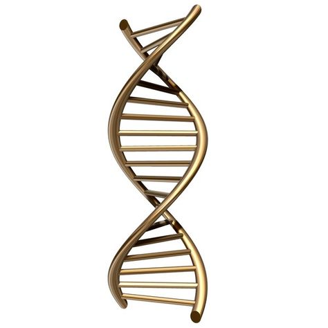 Model Dna, Dna 3d, Egyptian Hieroglyphics Symbols, Dna Art, Holographic Wallpapers, Dna Tattoo, Golden Wallpaper, Dna Model, Human Dna