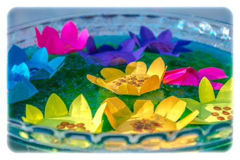 DIY Magic Paper Water Lily Flower Trick• Kids Science Experiment 🔬⚗️⚖️ 101 🎥Series 🎇 Paper Water Lily, Kids Science Experiment, Science Tricks, Capillary Action, Easy Origami Flower, Water Lily Flower, Science Kids, Flower Crafts Kids, Flower Kids