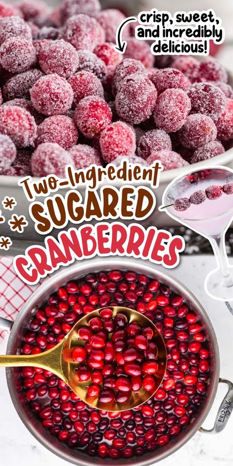 Cranberry Recipes Thanksgiving, Cranberries Recipes, Fresh Cranberry Recipes, Simple Sugar Syrup, Cranberry Thanksgiving, Candied Cranberries, Canned Cranberries, Cranberry Dessert, Thanksgiving 2023