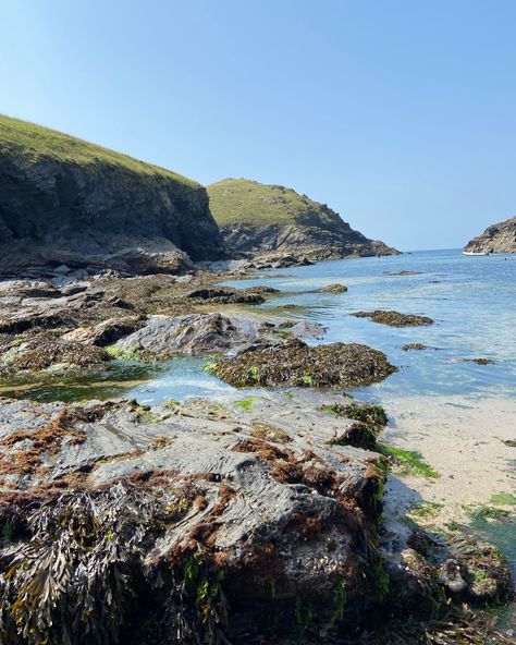 Embark on an adventure along the South West Coast Path and uncover the rugged beauty of North Cornwall! Discover hidden coves and secluded beaches along the way, perfect for a refreshing dip in crystal-clear waters. #secretcoves #northcornwall #swcoastpath #swisbest #visitcornwall #cornwall #cornwallholidays #wildswimming #pentirehead #portquinn #portissac #nationaltrust #northcornwallcoast #coastalwalks #walkingholidays #tidalpool Tidal Pool, South West Coast Path, North Cornwall, Secluded Beach, Crystal Clear Water, South West, Cornwall, West Coast, The South