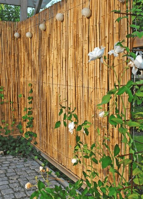 Bamboo Screen Garden, Bamboo Screening Fence, Bamboo Garden Fences, Garden Screen, Bamboo Privacy, Garden Privacy Screen, Garden Privacy, Back Garden Design, Backyard Privacy